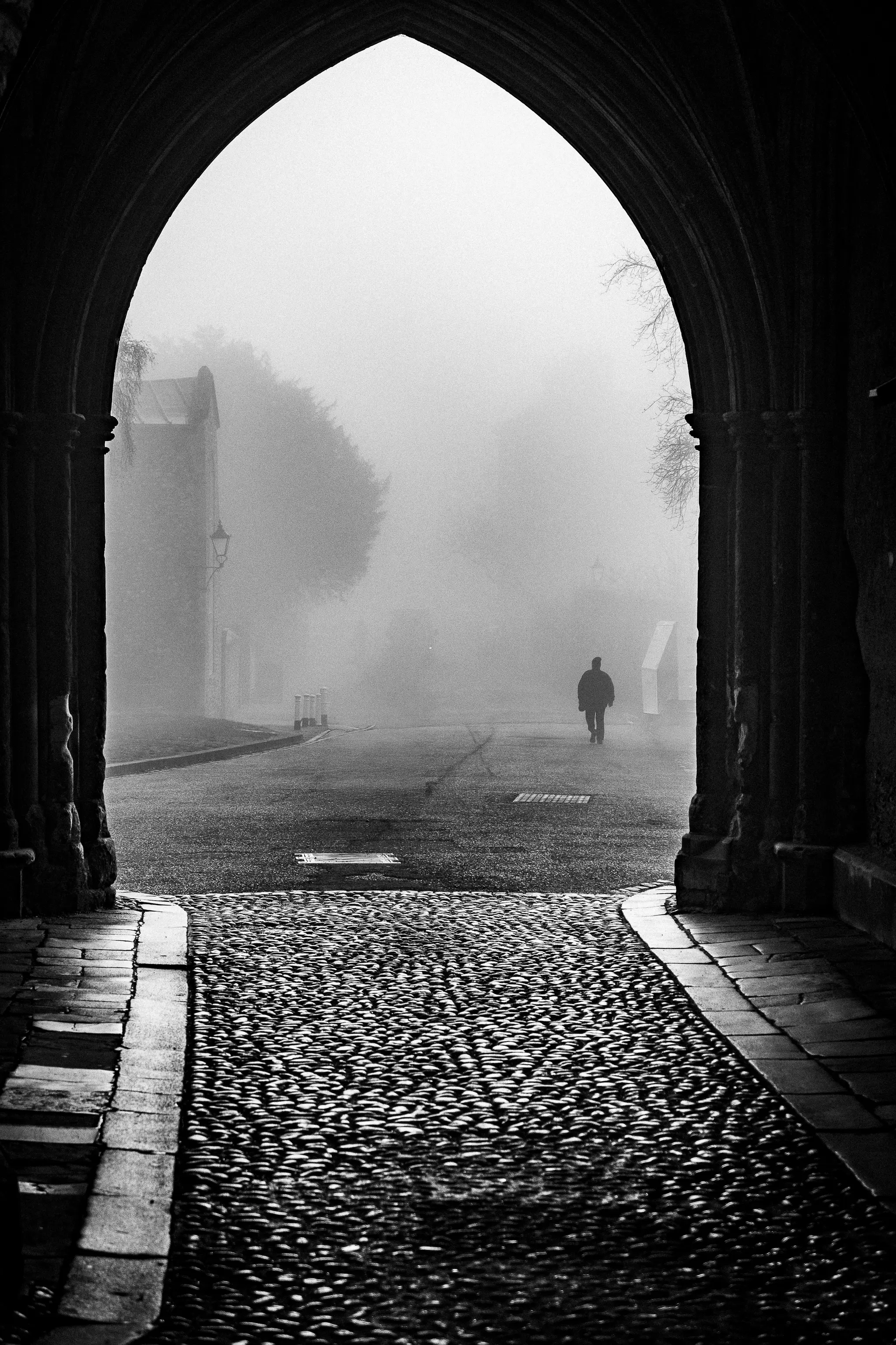 The Fog
