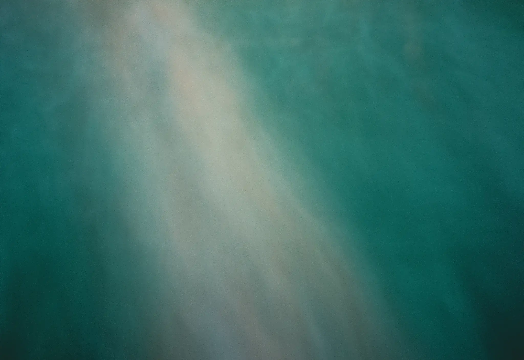 The Swimmer