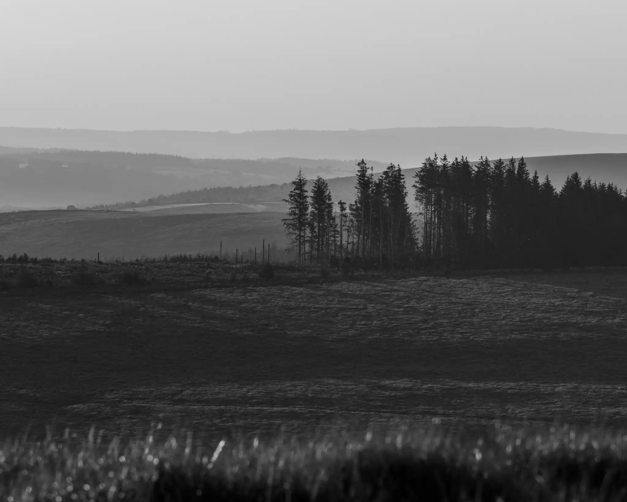Morning on the Dartmoor Hills