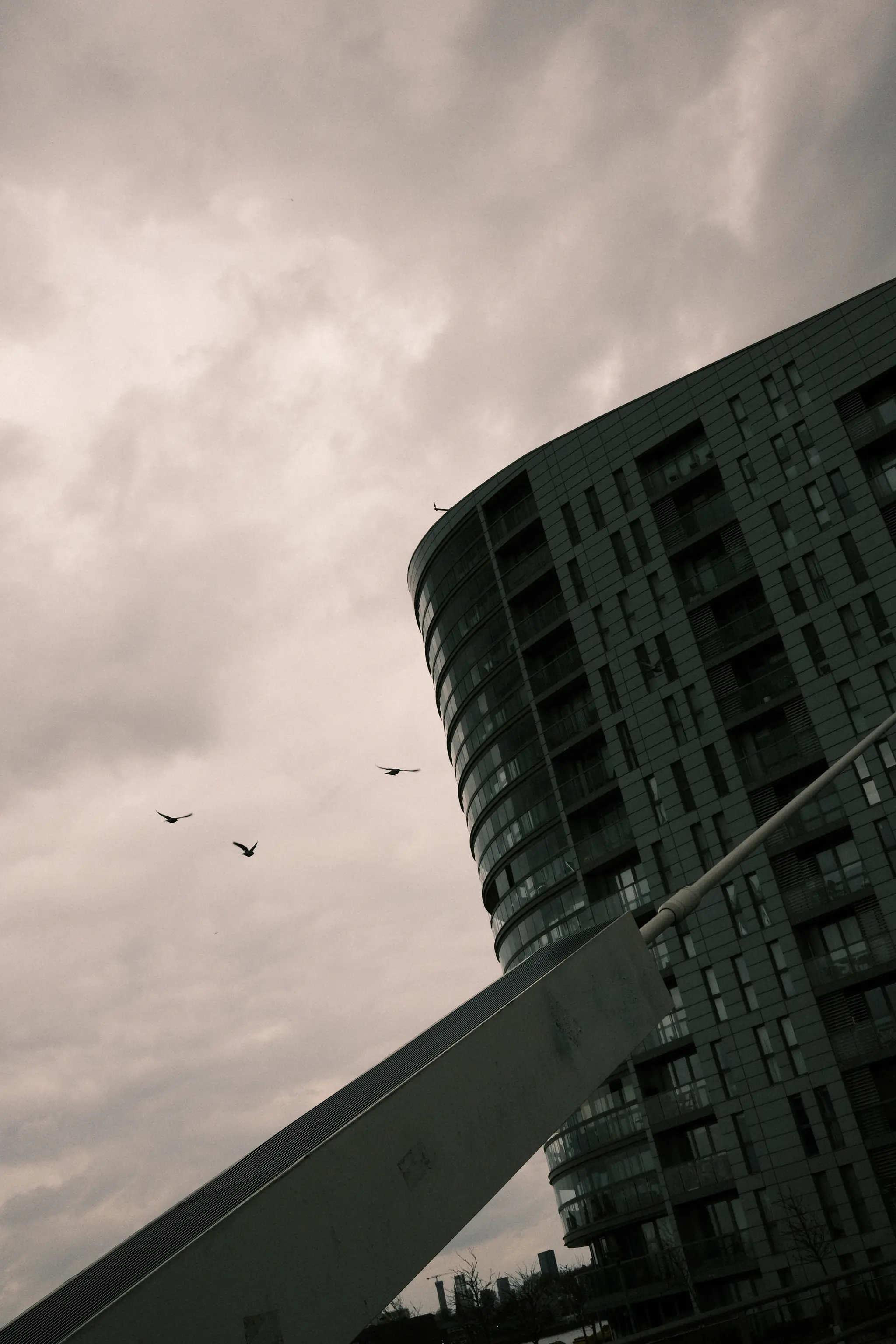 encroaching upon the territory of the birds