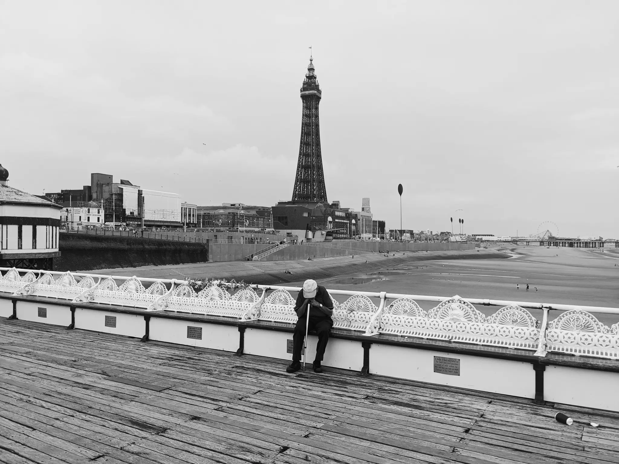 Coastal Contemplation