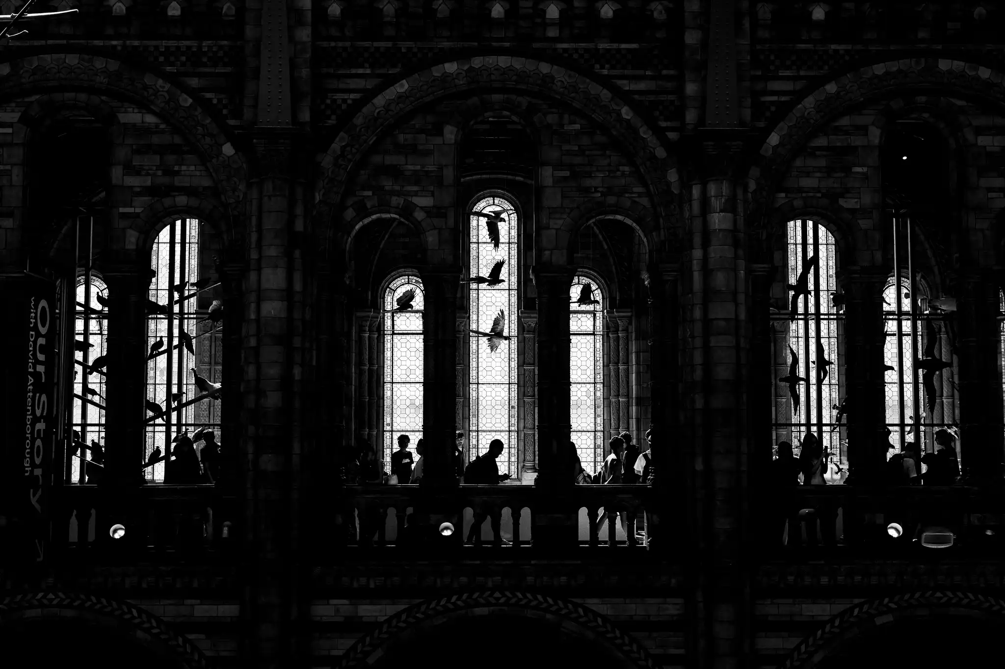 The Museum