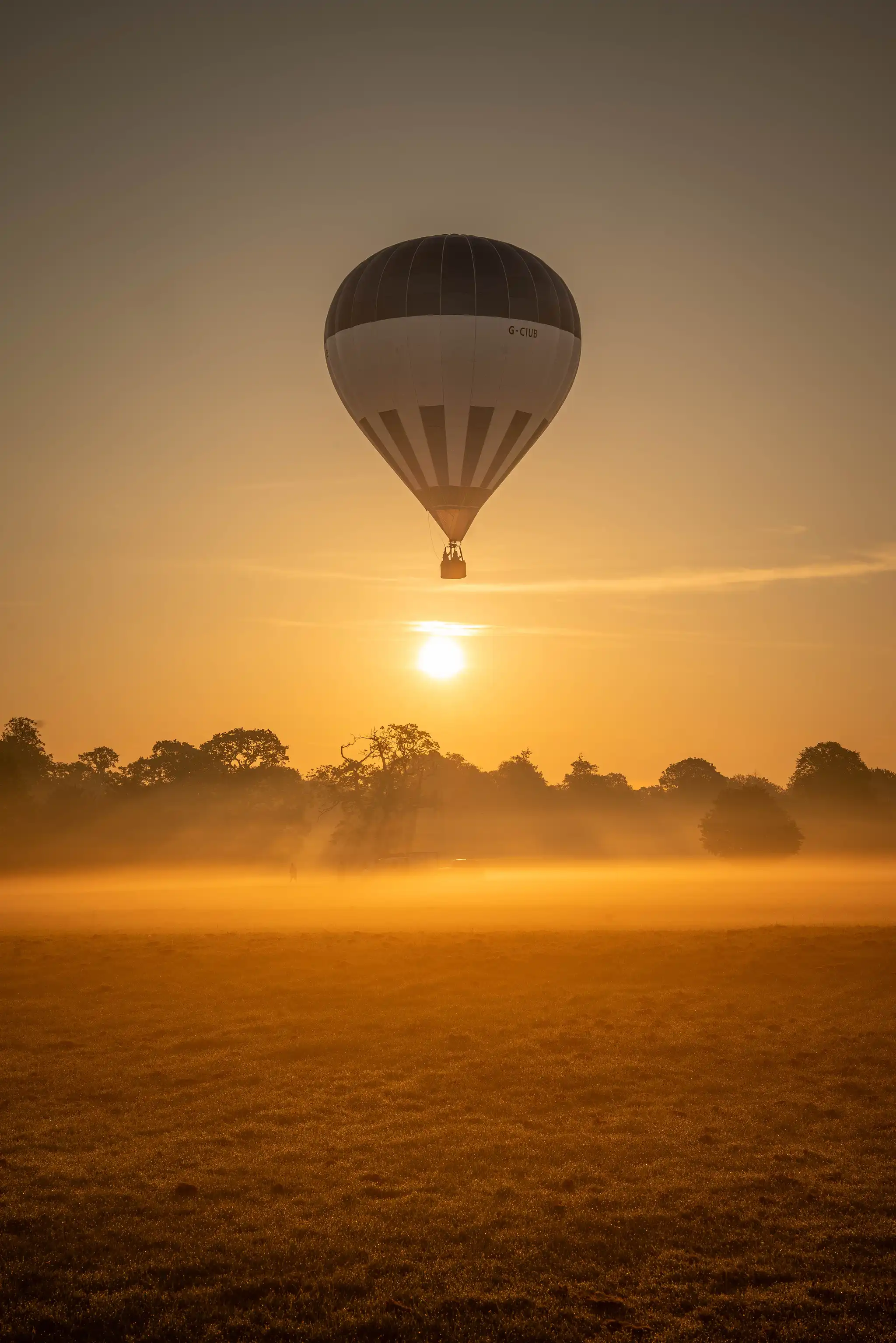 Up Up & Away 