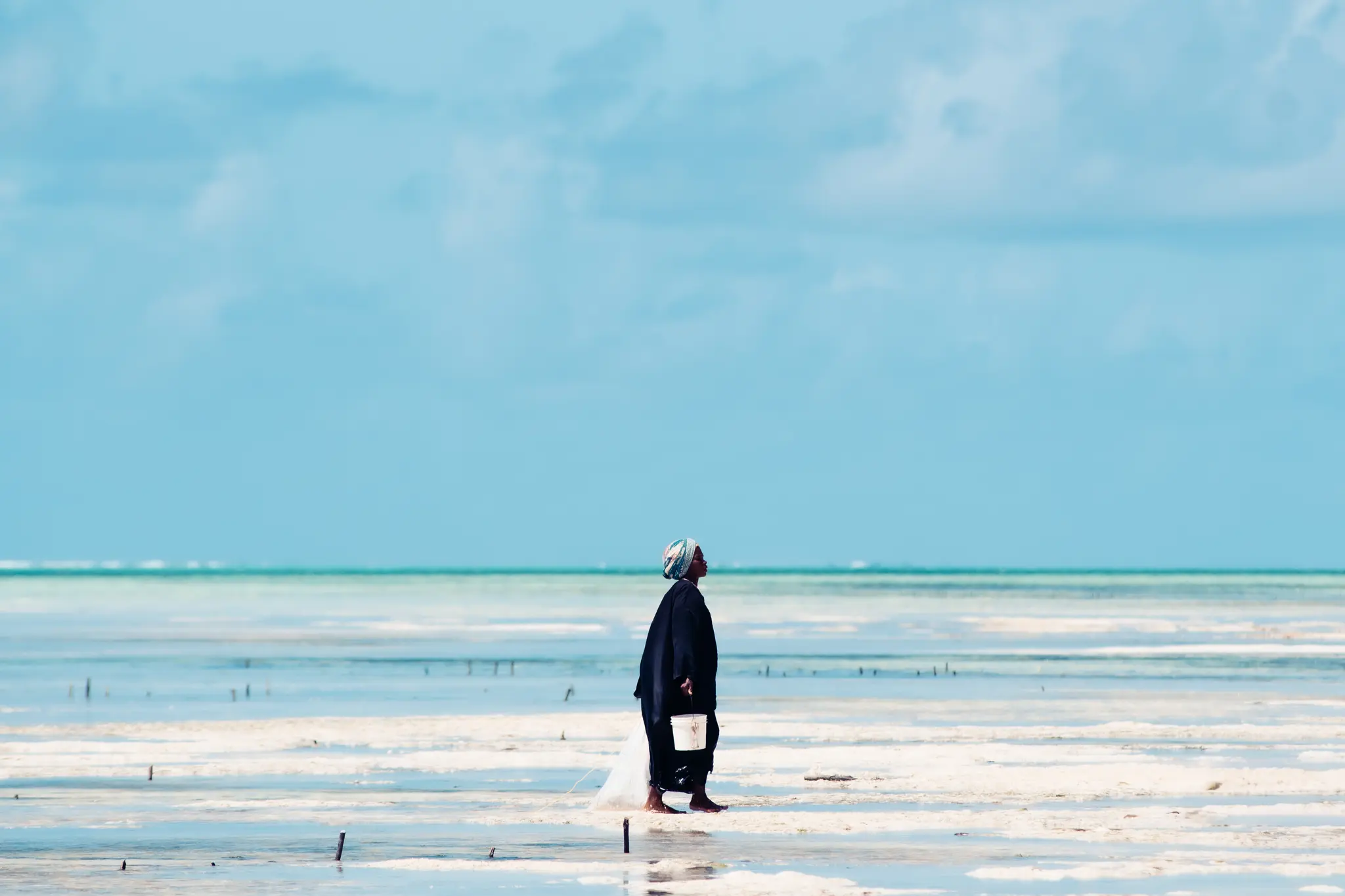 Turquoise Seas